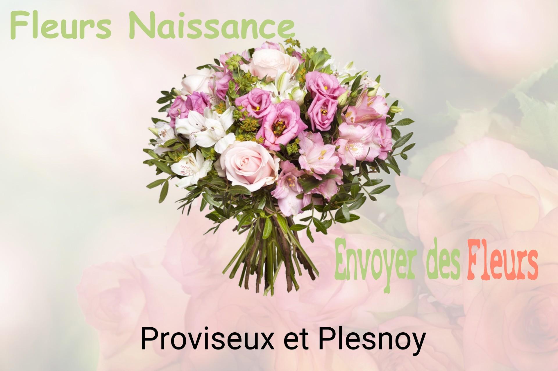 Bouquet de fleurs de naissance livré à Proviseux-et-Plesnoy